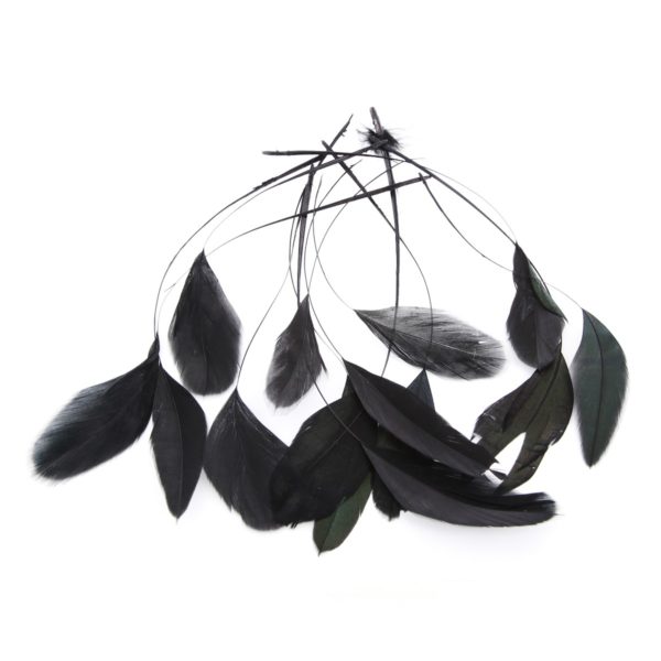 Hahnenfedern - Coquetips Federn schwarz - Bastelfedern ca. 20cm, 15 Stück | Bejol Bastelshop